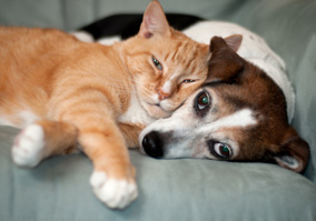 best friends